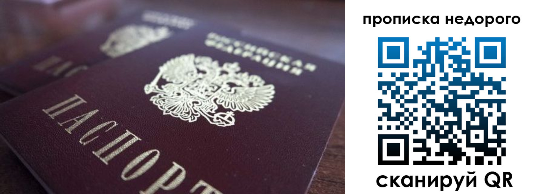 прописка штамп в Димитровграде