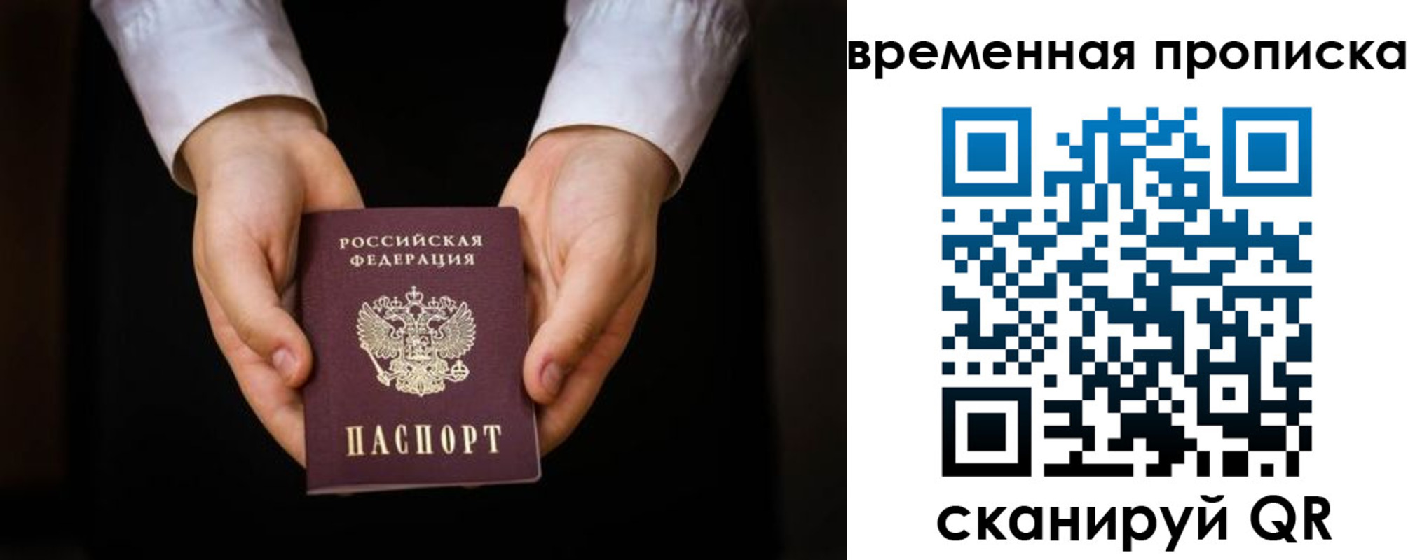 где прописаться в Димитровграде